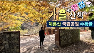 계룡산 국립공원 수통골 가을 산책 + 맛집 소개 | 대전 산책 코스 추천