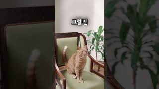 우리 동네 펫시터 어디에 있을까? #펫시터 #강아지 #고양이 #동네펫시터