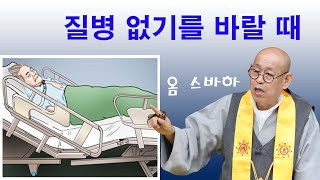 운동 이라곤 모르고 가부좌튼 선방스님들이 장수 하는 이유?