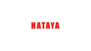 【リクルート向け】HATAYA会社紹介動画フルバージョン