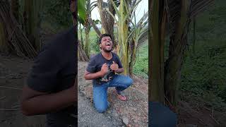 আনানস#gramin #funnyclips #shortvideo @Enamul