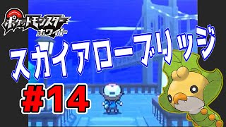 【動画】【直撮り撮影】ポケットモンスターホワイト 実況プレイpart14