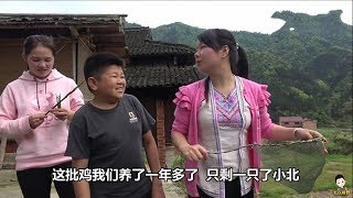 秋子做9菜1湯招待小六小北，連最後一隻雞也獻上，滿滿一桌土菜【小六搞野】