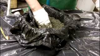 Hypertufa: How to make a planter