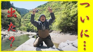 平成最後のGW『銀化山女魚を求めて』japan mountain stream fishing