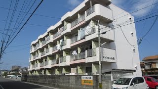 宮崎市 マンション永楽 ペット可 一人暮らし賃貸物件 風呂トイレ別 【不動産のリーラボ】