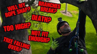 Conquer Your Fear of Tree Climbing With These Simple Steps