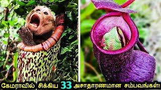 கேமராவில் பதிவுசெய்யபட்ட அசாதாரணமான 33 காட்சிகள்! | Unusual Things Caught On Camera