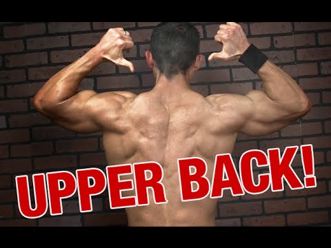 Upper Back and Trap Thickness (2 KEY EXERCISES!) Upper Back and Trap Thickness (2 KEY EXERCISES!)
