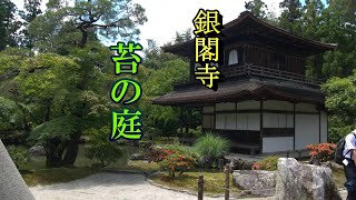 【銀閣寺】　雨上がりの苔庭　Moss garden after rain of Ginkakuji Temple