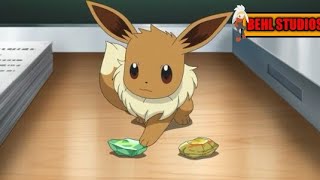 POKEMON MASTER JOURNEYS Chloe's eevee can't evolve by evolution stones.ENGLISH DUBBED.