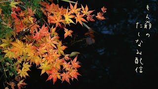 ウイイレ　フレマ配信するだに～(@_@)　もん爺塾生徒募集中　初見さん大歓迎