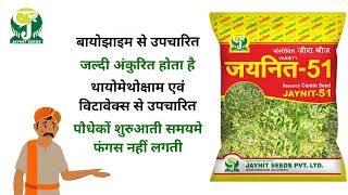 Research Cumin Seed Jaynit-51