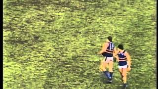 FNWB.com.au - 1984: Round 19, Melbourne vs Footscray