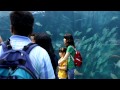 2012 여수 세계 박람회 아쿠아리움 수족관 2012 yeosu expo aquarium