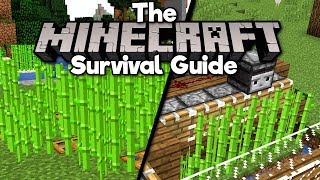 Sugar Cane Auto Farm! ▫ The Minecraft Survival Guide (1.13 Lets Play / Tutorial) [Part 10]