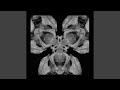 In to Splinters (Alpturer Remix)