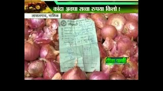 Peekpani | Nashik | Lasalgaon Onion Rates Fall Farmers In Problem