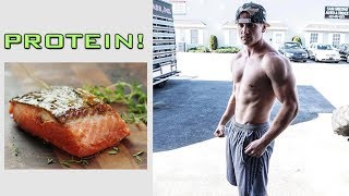 Best High Protein Low Calorie Foods!