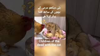 Children of the dead with the cat's hosts #viral #henna #cat