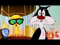 Looney Tuesdays | Did I Saw A Putty Tat? | Looney Tunes | WB Kids