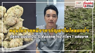 หนุ่มโคราชหนีราคากัญชาในไทยตกต่ำ ปลูกระบบปิด 100% ส่งออกยุโรป กก.ละแสนบาท : เรื่องเด่นทั่วไทย