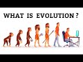 WHAT IS EVOLUTION? // EVOLUTION IN BIOLOGY