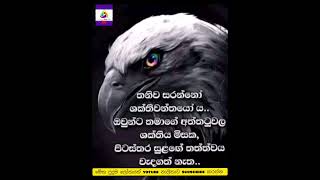 මෙය  සැබෑවක්ද #wadan