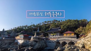 [위대한100경] EP 42. '해동용궁사' 바다를 바라보며 진리를 꿈꾸다