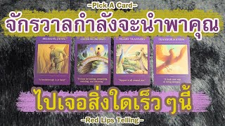 Pick A Card : จักรวาลกำลังจะนำพาคุณไปเจอสิ่งใดเร็วๆนี้?