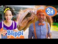 Dinosaur and Zoo Fun +More | Blippi and Meekah Best Friend Adventures | Educational Videos for Kids