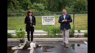Minute with the Mayor – Dog Licensing Month