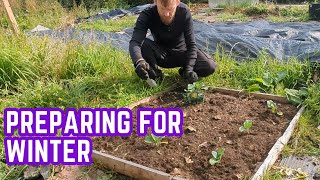 getting ready for autumn/winter in the allotment garden