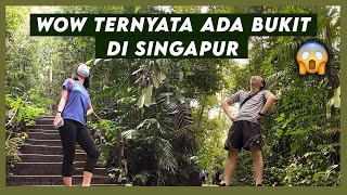 HIKING MENANTANG KE BUKIT SINGAPORE | Bukit Timah Nature Reserve