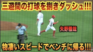 ダッシュでベンチに戻るww三遊間の打球を華麗に捌き物凄いスピードで帰っていく矢野雅哉www