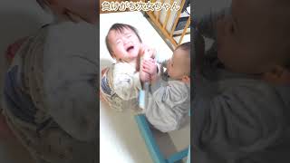 【双子育児】双子の取り合い　#生後10ヶ月 #赤ちゃん #二卵性双生児 #twins #baby #shorts