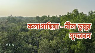 নীল ডুমুর || কলাগাছিয়া ইকো ট্যুরিজম পার্ক || Satkhira Tour || Satkhira District || Ep.4