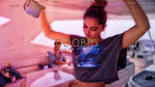 Doobey   Lofi  Slowed   Reverb 720P 60FPS