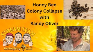 StreamTeam chat with Randy Oliver - Honey Bee Collapse ! !