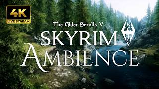 🌿 Skyrim Forest Ambience – Jeremy Soule – Atmospheres (4K No Ads Relax Music Live Stream 8 Hours)