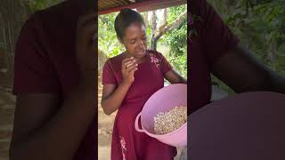 This is how I make popcorn at Recanto da Paz!