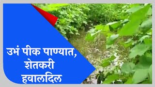 Parbhani | परभणीत शेतकऱ्यांचे अतिवृष्टीमुळे मोठे नुकसान - TV9