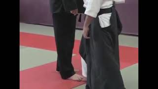 Aikido Steven Seagal irimi nage, nodo tsuki, haito uchi, hammer fist