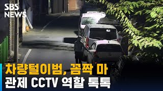 차량털이범, 꼼짝 마…'매의 눈' 관제 CCTV 역할 톡톡 / SBS