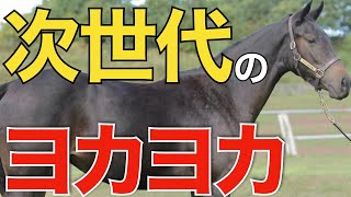 【九州産馬】ヨカヨカの後に続く！マクフィ産駒が九州一歳市場で歴代最高額落札。【一口馬主】