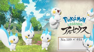 【ヒスイ図鑑】Ｎｏ．１０９パチリス【Pokémon LEGENDS アルセウス】