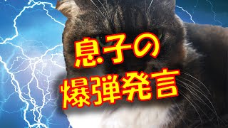 【修羅場 衝撃】息子『皆には内緒だよ？バレたら、僕もママも頃されちゃう…』 息子が爆弾発言…