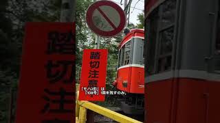 箱根登山鉄道の顔 モハ１形モハ２形を簡単に紹介！ #shorts