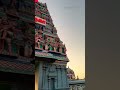 tamil god murugan chennai famous vadapalani murugan temple thala ajith thelastcholas shorts