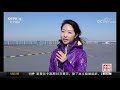 中国新闻 庆祝人民海军成立70周年海上阅兵活动 cctv中文国际